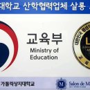 위그살롱 이미지