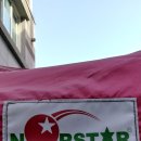 놀스타일 이미지