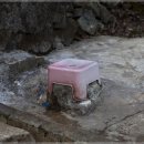 수정4동체육공원 이미지