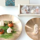 바르다펫 이미지