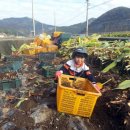 작답농장 이미지