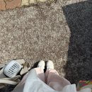 2026.05.23-26 식단일기