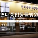 현대종합동물병원 이미지