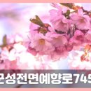 금신당 이미지