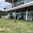 개올나잇 | JUL #1:) 여름 첫째주 주간 데일리 🐕🤍 / 가덕도 맛집 애견카페 / 직장인 술집 / 광안리