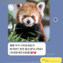 영어는판다쌤