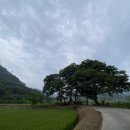 명곡 낚시터 이미지