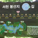 버들길 이미지