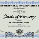 슈네발렌 이미지