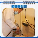 월배홍의원 이미지