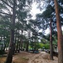 폭포골자연휴양림야영장 이미지