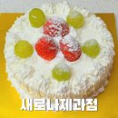 변동로 | 제과기능장이 만든 존맛 생크림 케이크 후기! 대전 <새로나제과점>