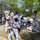 태풍태권도 이미지