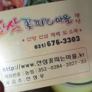 산삼꽃피는마을