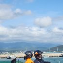 형제조류 이미지