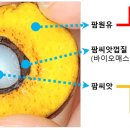 은편농장 브런치