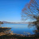 강마을 | 팔당 드라이브 맛집 “강마을다람쥐” 솔직 후기｜도토리 해물파전·묵사발·도토리 온밥 먹고 온 날