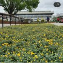 동북아행정사무소 이미지