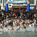 거제도국제펭귄수영축제 이미지