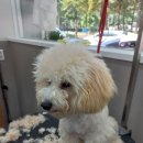 개운하개 이미지