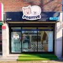 고려 애견 미용실 이미지