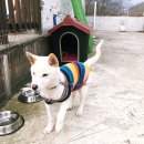 (주)하담 이미지