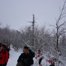태백산 - 김포시 양곡3로1번길 26-5 | 태백산