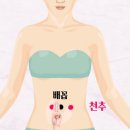 시솔