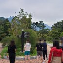 한일카 이미지