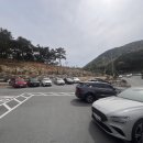 화순 수만리 대형베이커리카페 포엠 다녀온 저만의 후기