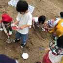 삼운사유치원 이미지