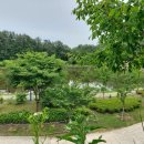 고포수변공원 이미지