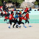 금정초등학교 Daum카페