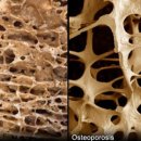 수원센트럴요양병원 이미지