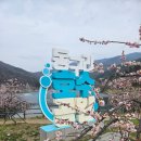 문화광장진입도로 황금개나리길 | 광주 근교에서 손꼽히는 벚꽃 엔딩의 성지, 화순 동구리 호수공원 벚꽃