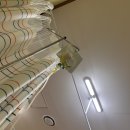 세븐일레븐경북대제일점 | 대구일상 냉털 (얏호~ 마지막이다)