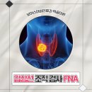 보아스이비인후과 먹골의원 | [공지] 갑상선 조직 검사(FNA) 가능한 병원, 보아스이비인후과 먹골의원