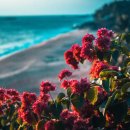 행복한일상 이미지