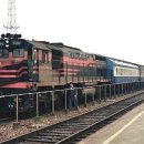 고목나무 이미지