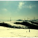 우산목장 이미지