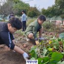 효촌초 이미지