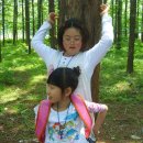 성포초등학교 이미지