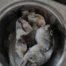 바다풍경펜션도시어부 이미지