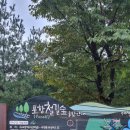 포항 여행 &#39;포항 철길숲&#39; 산책 후기 / 포항 도심 산책과 무료 자전거 대여소가 있는 곳