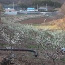 희현농장 이미지