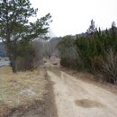 봉성초등학교 이미지