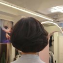 유수장치과의원 | 머리 어디서 하셨어요?(청담미용실)