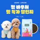 나투어리베 이미지