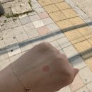 6얼 먹부림 일상(등촌칼국수 신촌점, 윌유케이크미, 대박관 중국집, 홍대쭈꾸미, 진곱도리탕전문점...