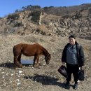 안산-대부-대부-풍도1 | 안산시 단원구 풍도동 풍도에서의 백패킹